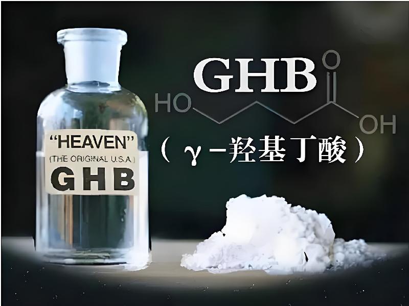 正品迷香水3703-bv型号